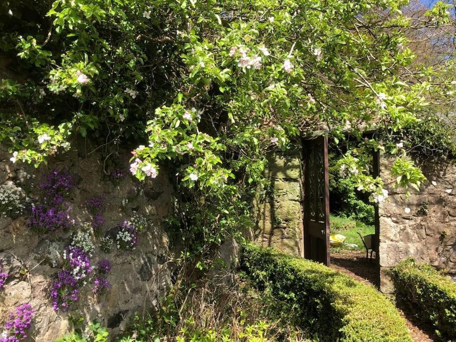 Unique Orchard Lodge For Couples With Hot Tub Strathaven Dış mekan fotoğraf